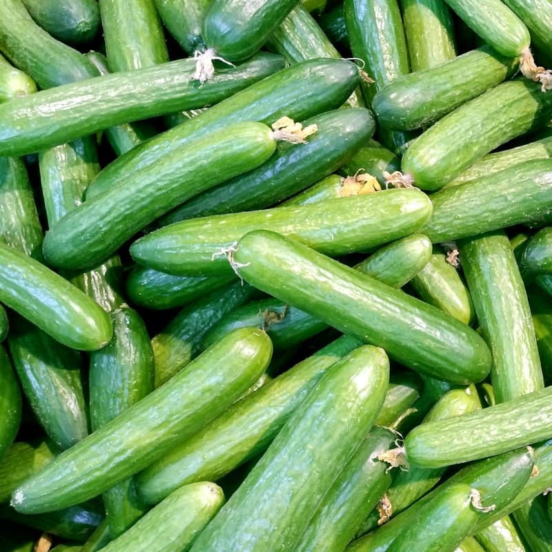 Cucumbers